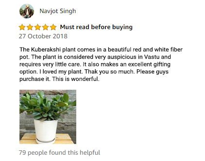 Kuberakshi Plant review - Customer
